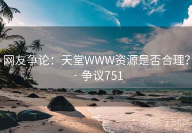 网友争论：天堂WWW资源是否合理？ · 争议751