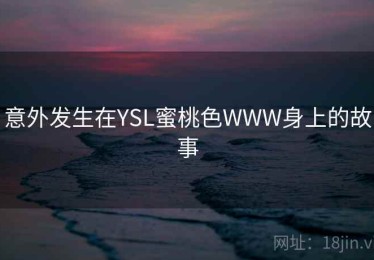 意外发生在YSL蜜桃色WWW身上的故事