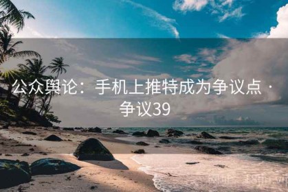 公众舆论：手机上推特成为争议点 · 争议39