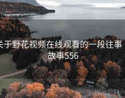 关于野花视频在线观看的一段往事 · 故事556