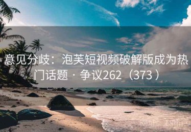意见分歧：泡芙短视频破解版成为热门话题 · 争议262（373 ）