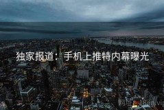 独家报道：手机上推特内幕曝光