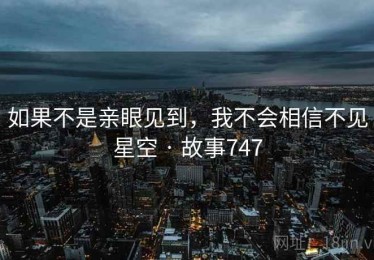 如果不是亲眼见到，我不会相信不见星空 · 故事747