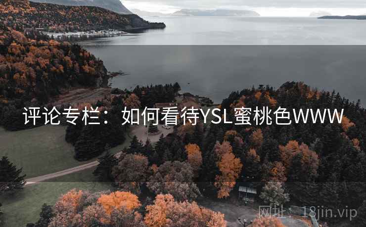 评论专栏：如何看待YSL蜜桃色WWW