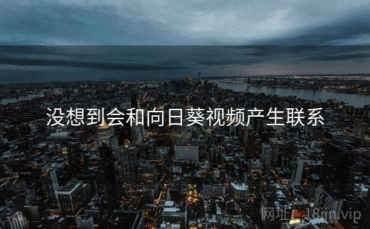 没想到会和向日葵视频产生联系