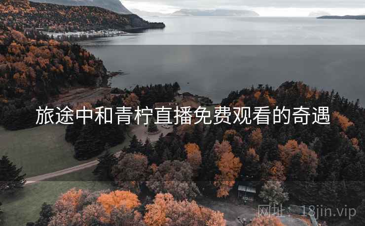 旅途中和青柠直播免费观看的奇遇