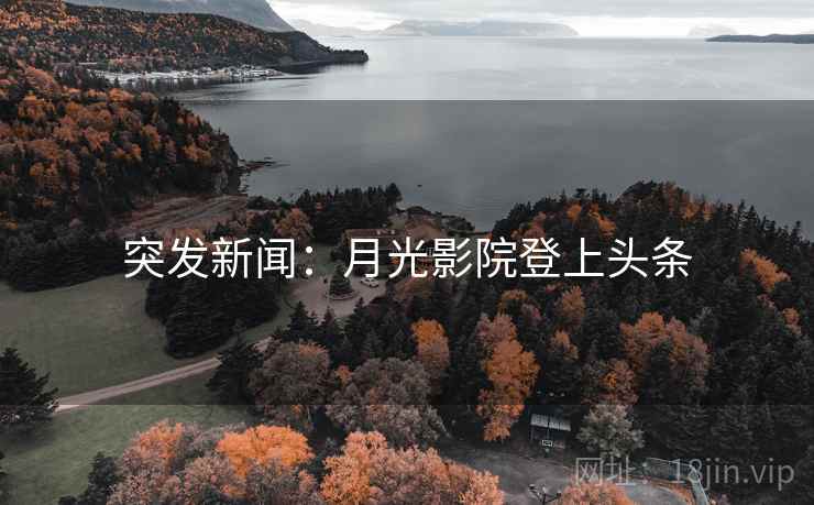突发新闻：月光影院登上头条